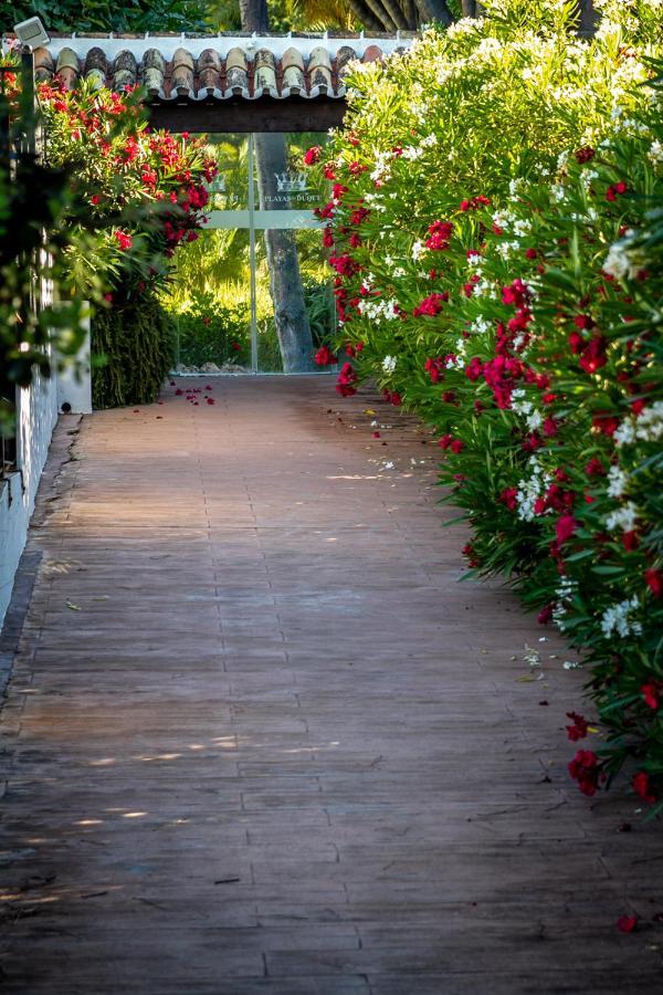 Marbella Banus Suites - Bird Of Paradise Playas Del Duque Banus Suite Apartment المظهر الخارجي الصورة